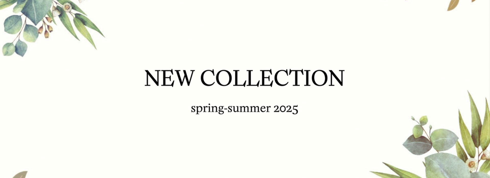 New collection 24-25