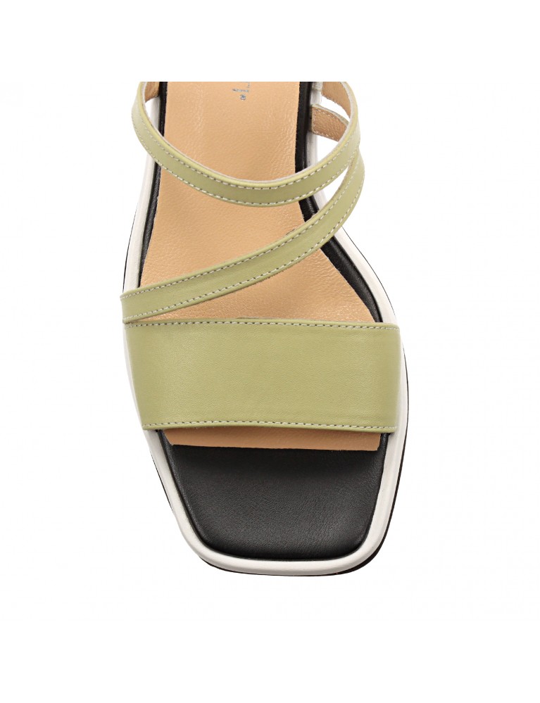 Пантолеты Roberto Venuti 242 2011-104-19